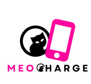 Giới thiệu 1 Meo Phụ Kiện